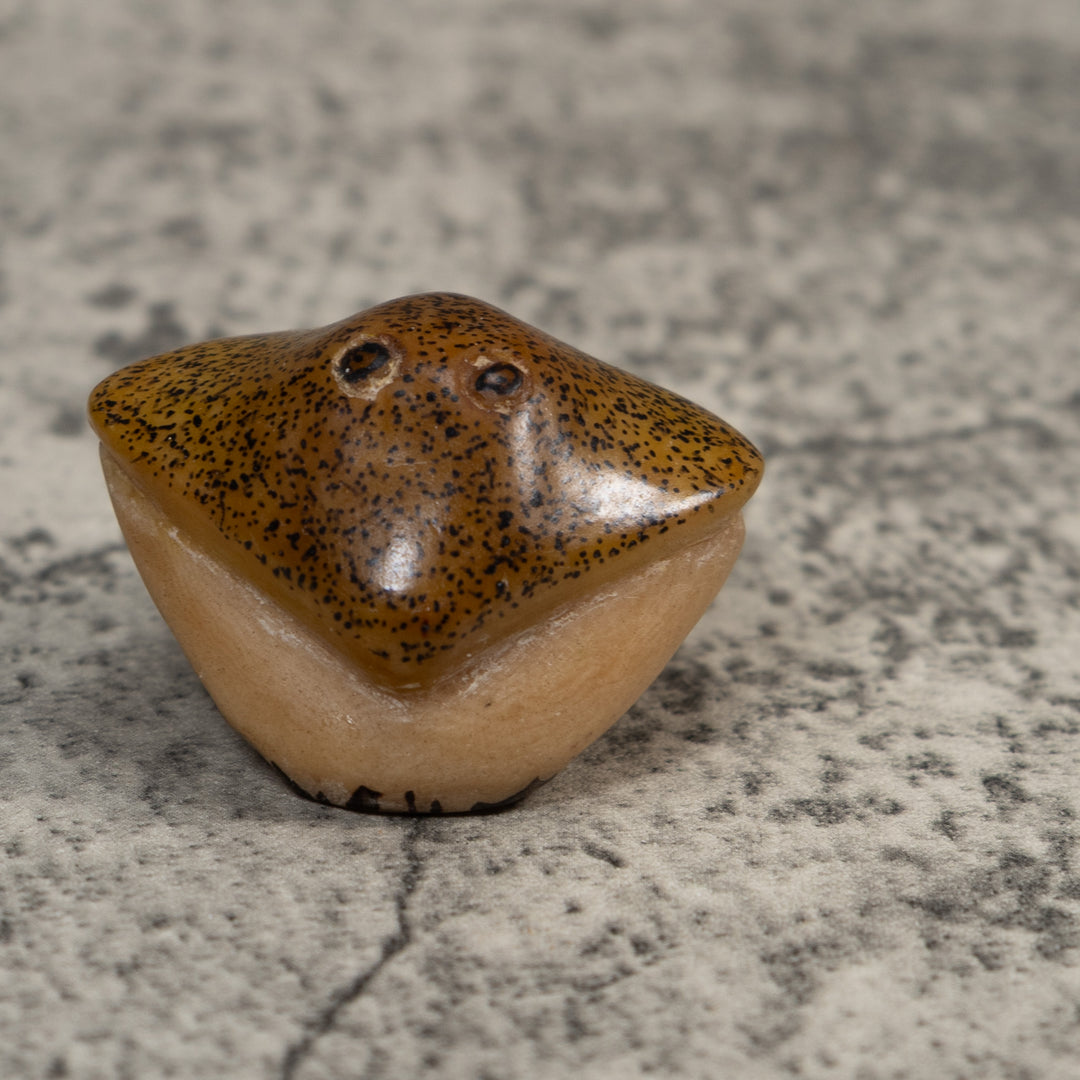 Speckled Ocean Stingray Tagua Carving