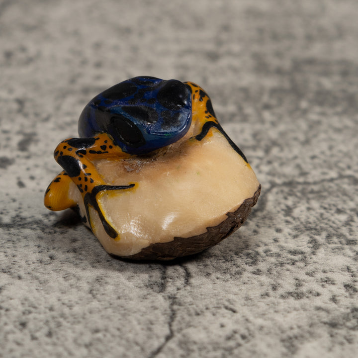 Vintage Blue And Orange Poison Dart Frog Tagua Carving
