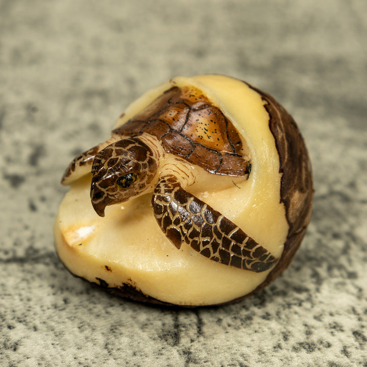 Sea Turtle Emerging From Egg Tagua Carving