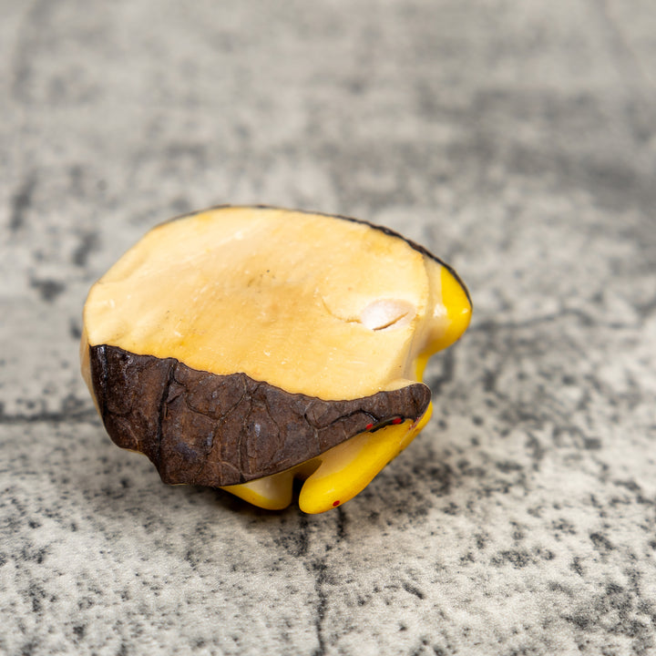 Yellow Poison Dart Frog Tagua Carving