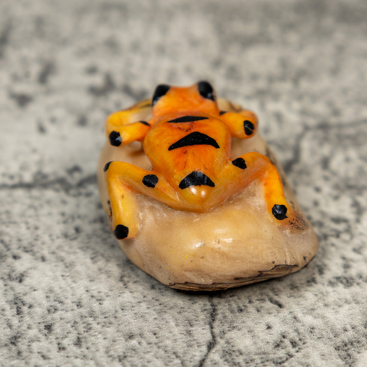 Orange And Black Frog Tagua Carving