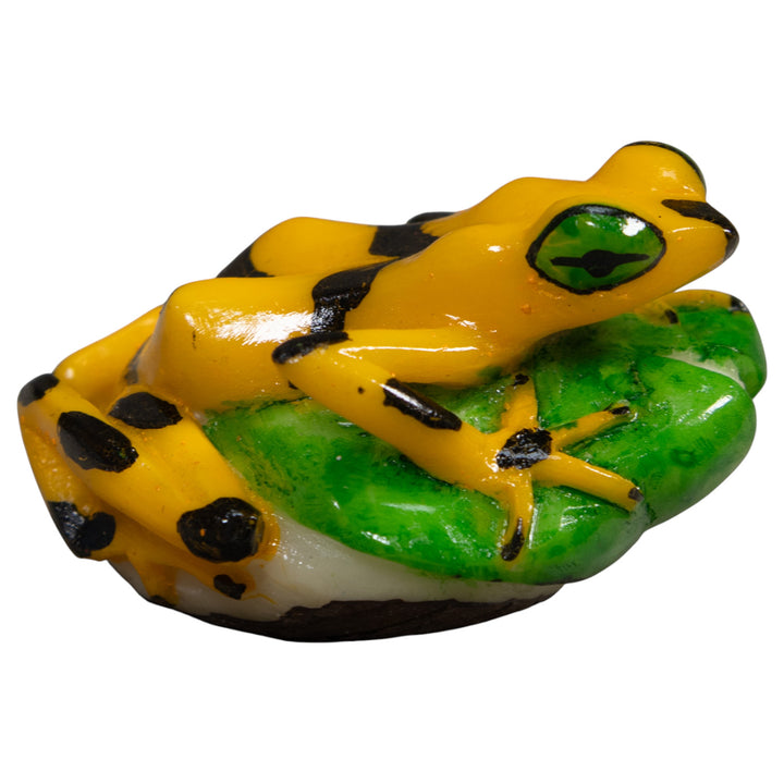 Black And Gold Poison Dart Frog Tagua Carving