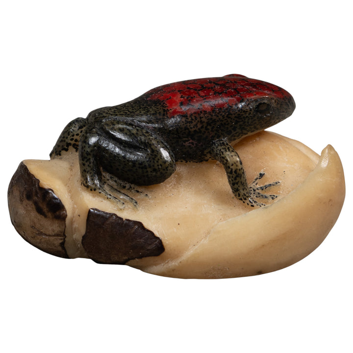 Red and Black Poison Dart Frog Tagua Carving