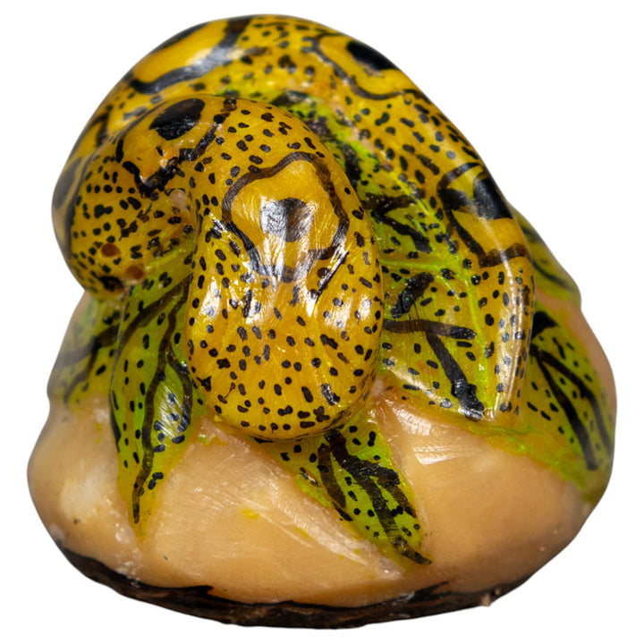 Black And Gold Snake Tagua Carving