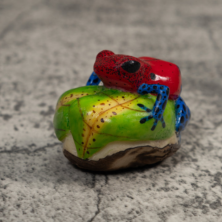 Red And Blue Poison Dart Frog Tagua Carving