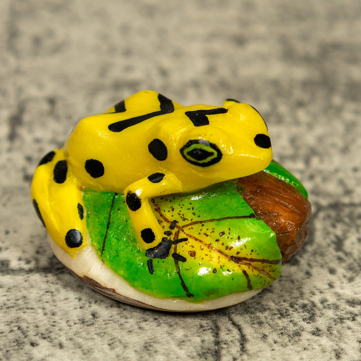 Yellow And Black Golden Frog Tagua Carving