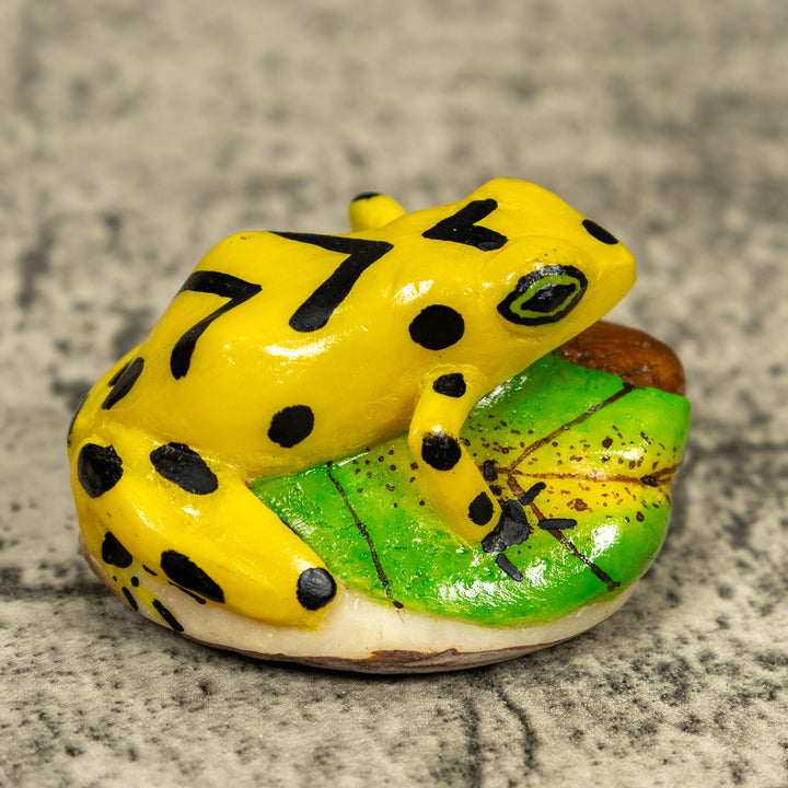 Yellow And Black Golden Frog Tagua Carving