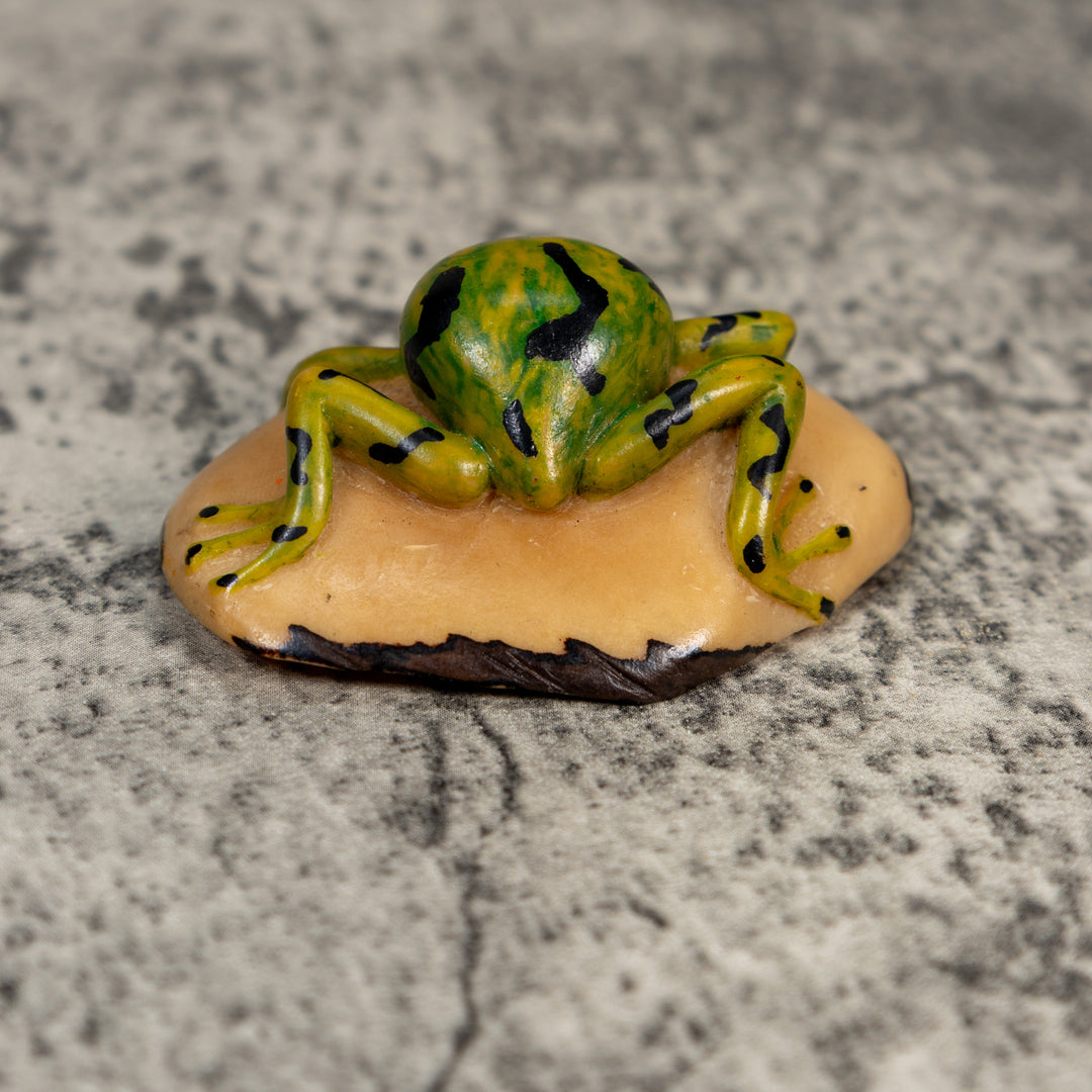 Vintage Green Gold And Black Frog Tagua Carving
