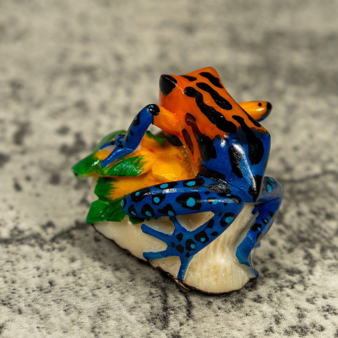 Blue Orange And Black Poison Dart Frog Tagua Carving
