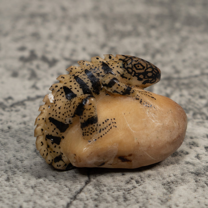 Vintage White And Black Iguana Lizard Tagua Carving