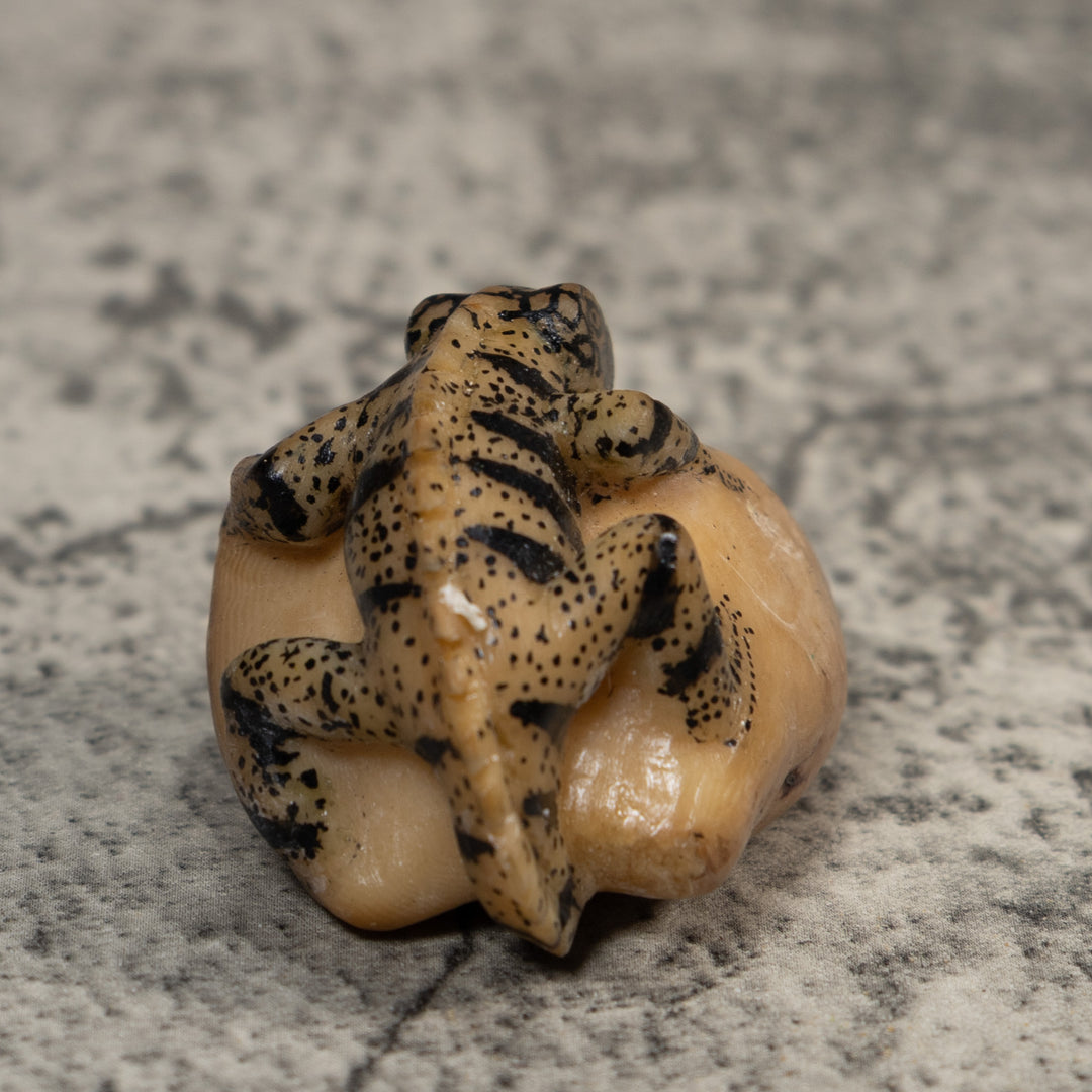 Vintage White And Black Iguana Lizard Tagua Carving
