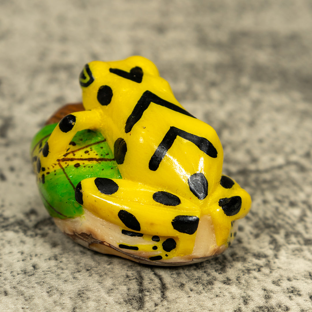 Yellow And Black Golden Frog Tagua Carving