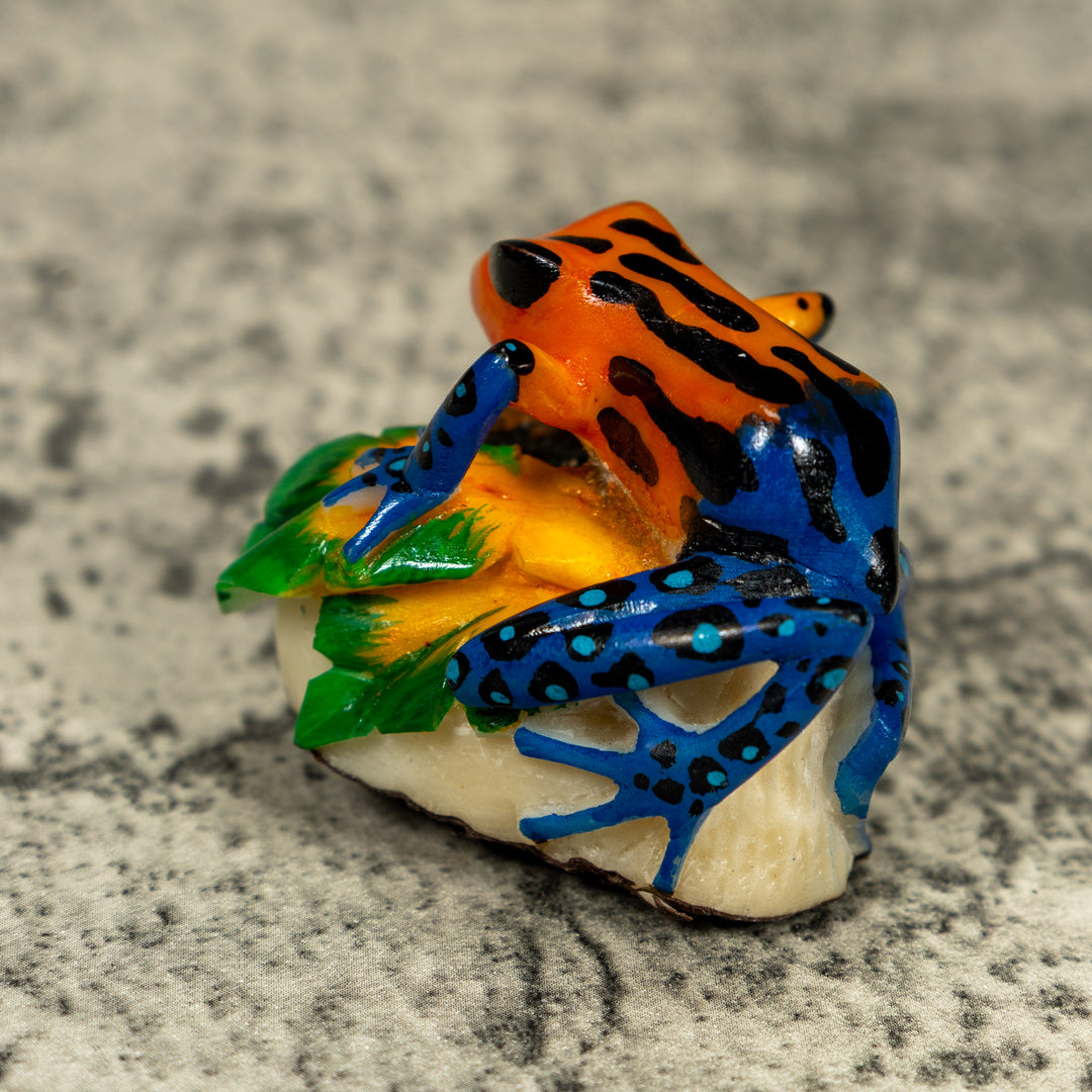 Blue Orange And Black Poison Dart Frog Tagua Carving