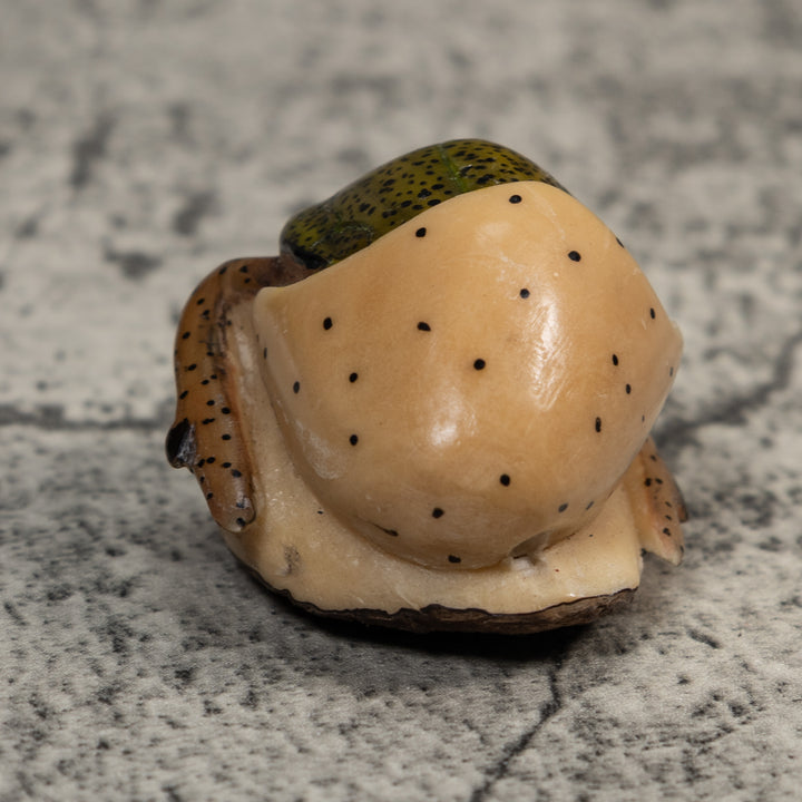 Vintage Sea Turtle Tagua Carving