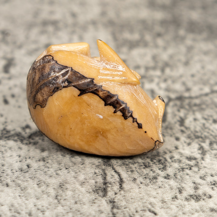 Natural White Blow Throat Frog Tagua Carving
