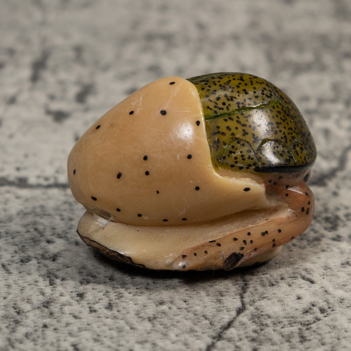 Vintage Sea Turtle Tagua Carving