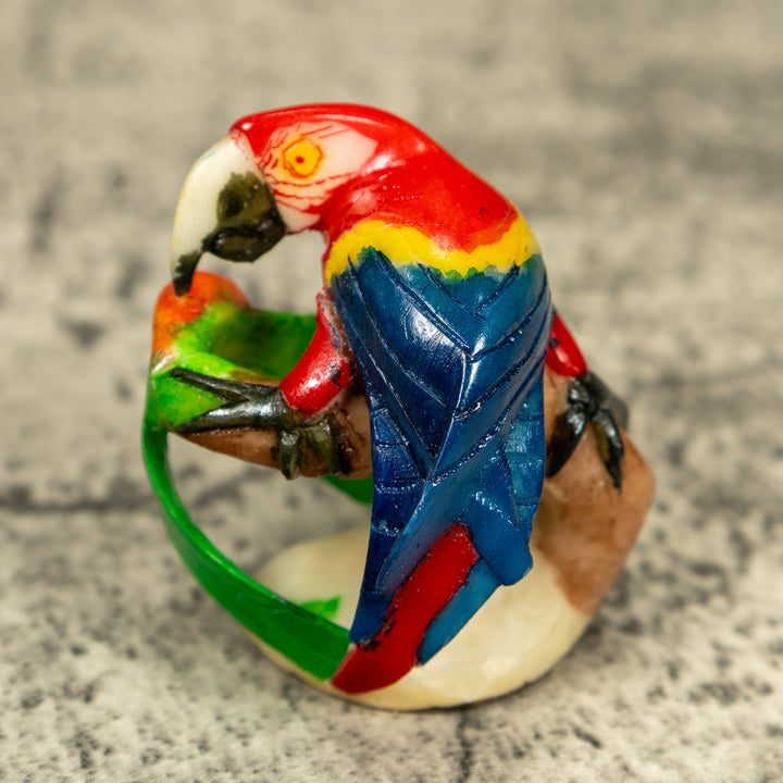 Macaw Parrot Bird Tagua Carving