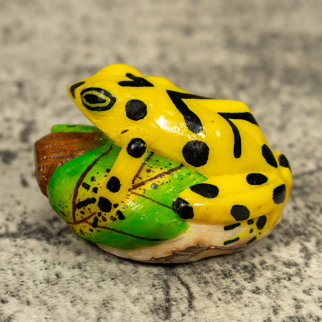 Yellow And Black Golden Frog Tagua Carving