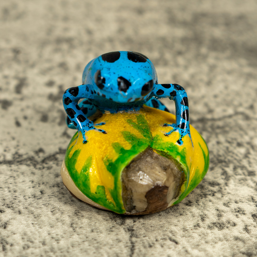 Blue And Black Poison Dart Frog Tagua Carving