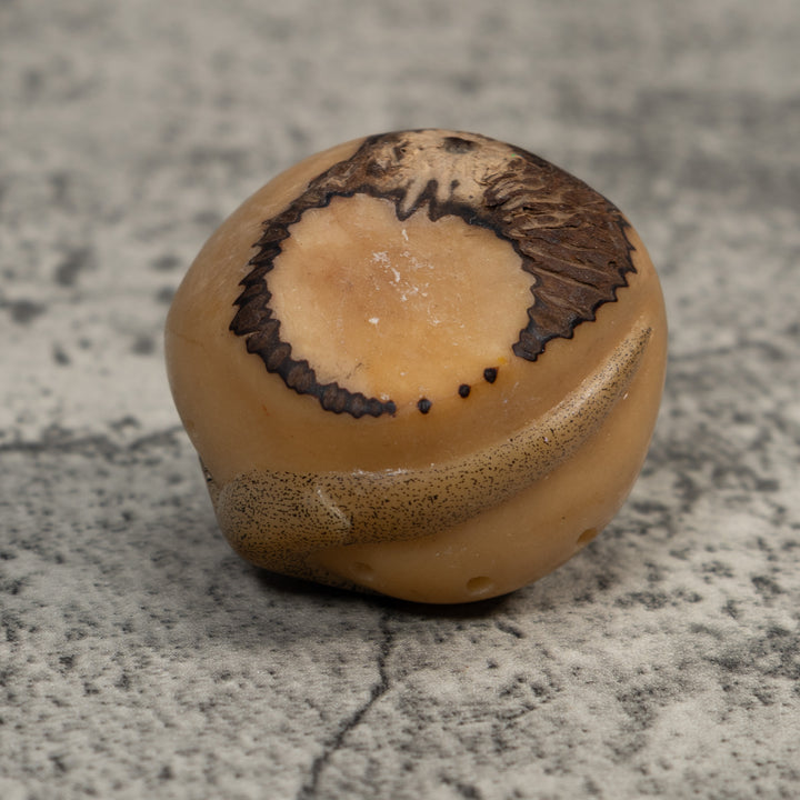 Vintage Stingray Fish Tagua Carving