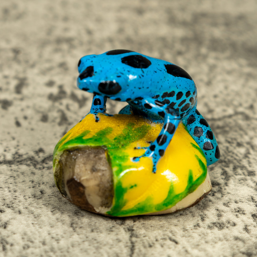 Blue And Black Poison Dart Frog Tagua Carving