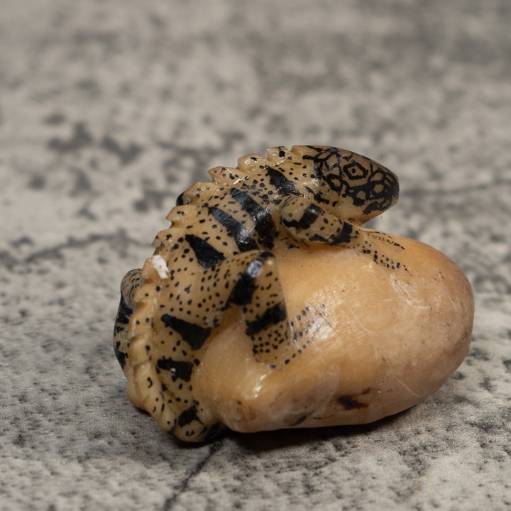 Vintage White And Black Iguana Lizard Tagua Carving
