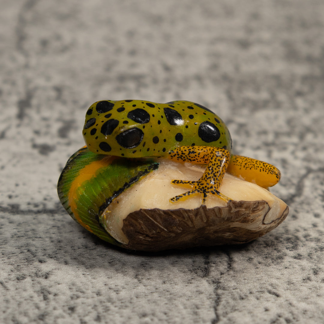 Gold Green And Black Poison Dart Frog Tagua Carving