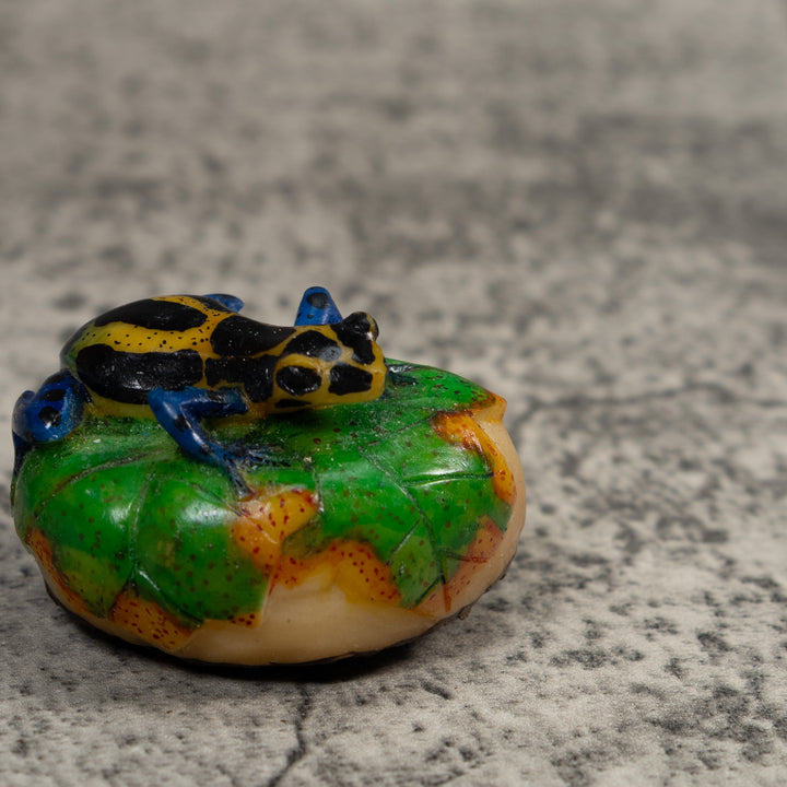 Black Blue And Yellow Poison Dart Frog Tagua Carving