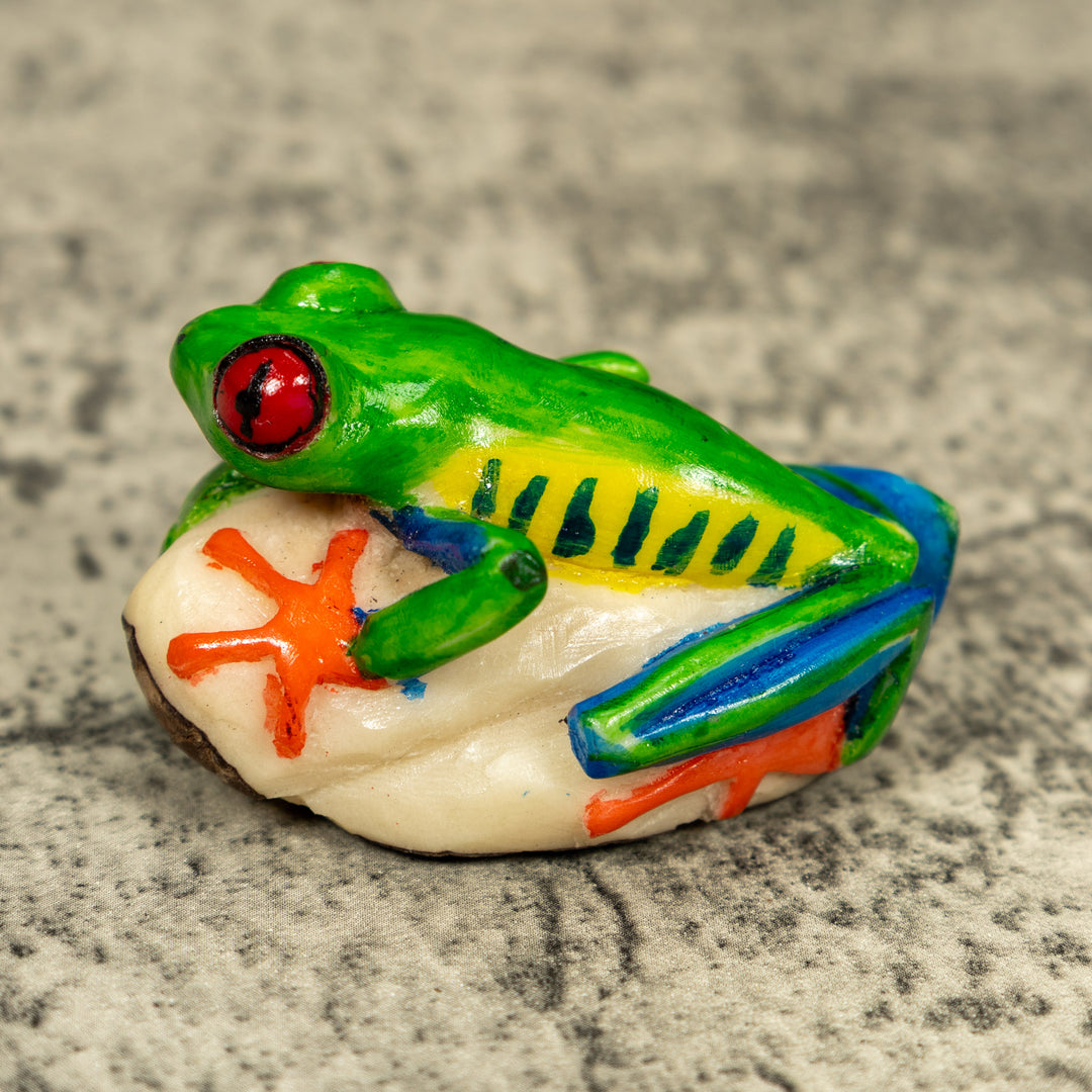 Red-Eyed Tree Frog Tagua Carving