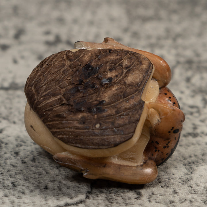 Vintage Sea Turtle Tagua Carving