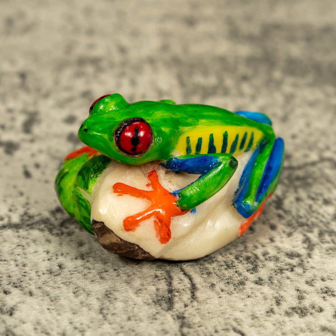 Red-Eyed Tree Frog Tagua Carving