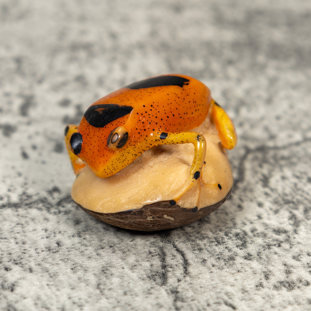 Vintage Poison Dart Frog Tagua Carving