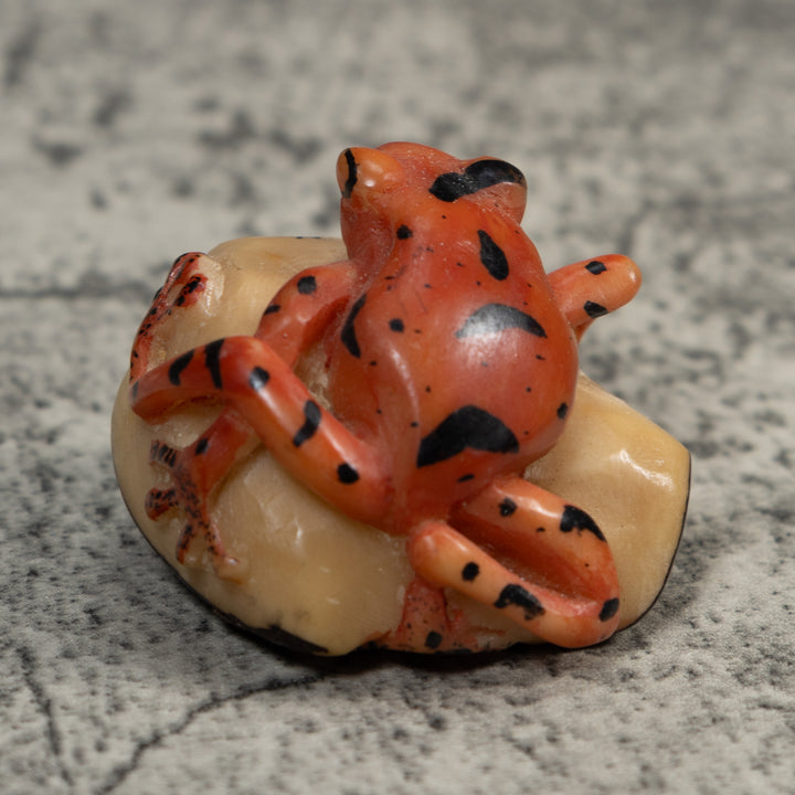 Vintage Orange And Black Anteater Tagua Carving