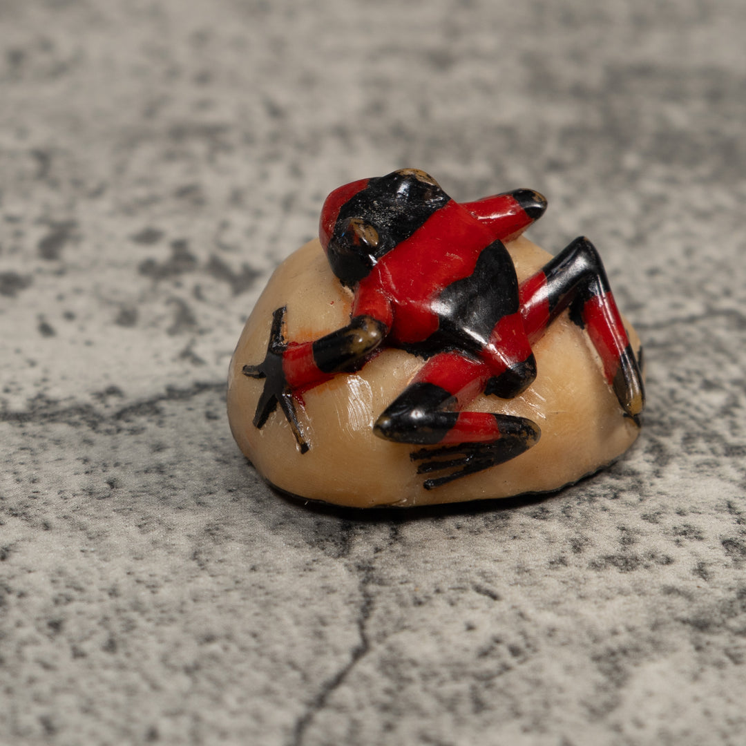 Red And Black Poison Dart Frog Tagua Carving