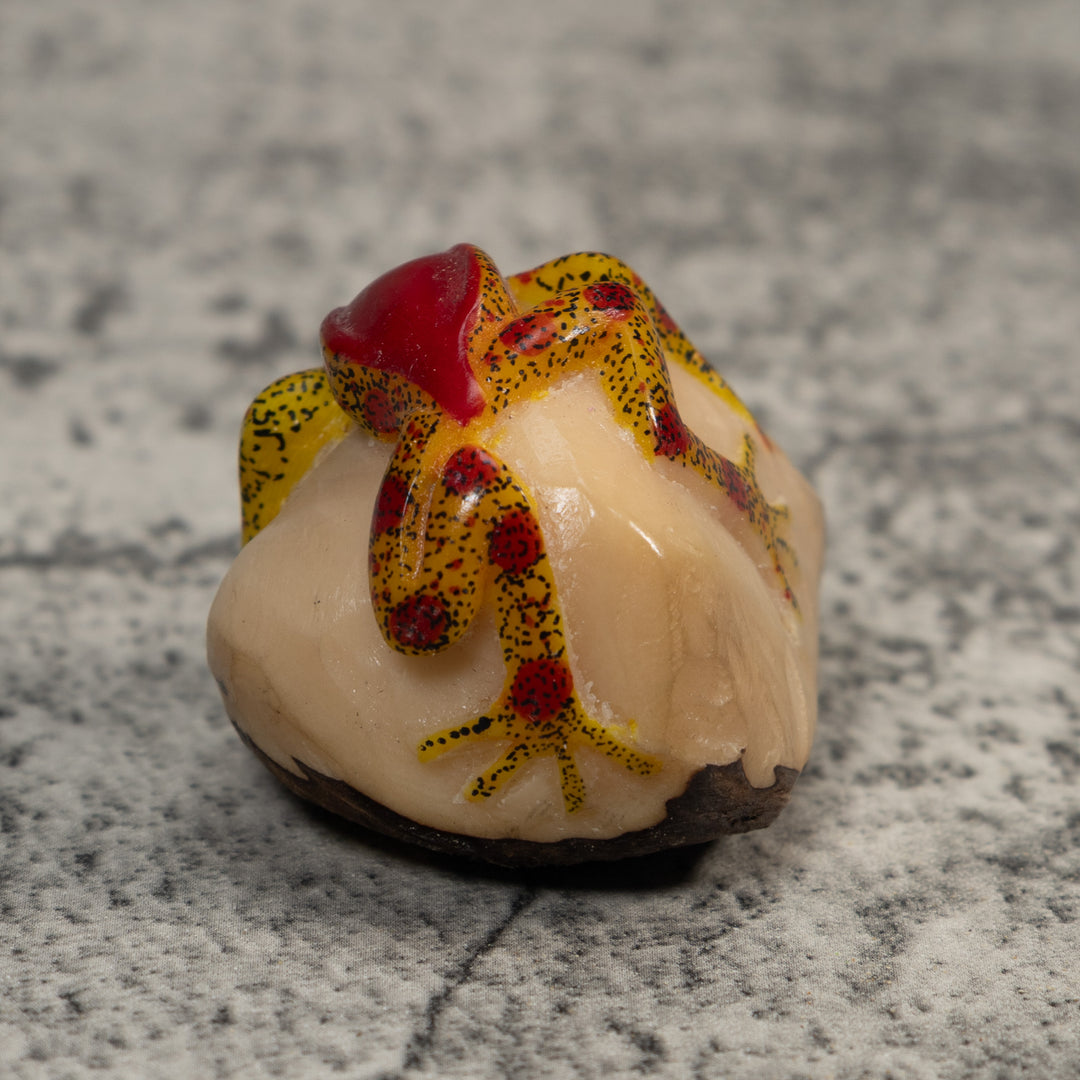 Red And Gold Poison Dart Frog Tagua Carving