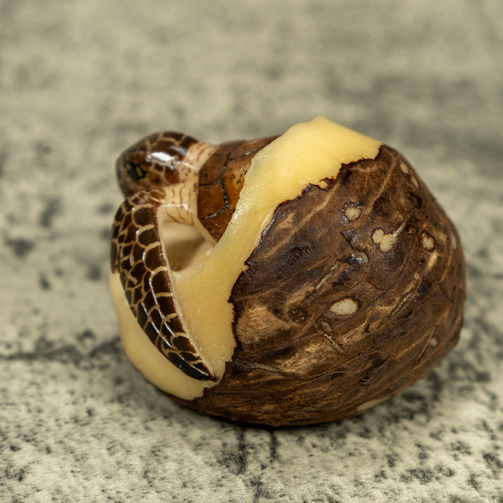 Sea Turtle Emerging From Egg Tagua Carving