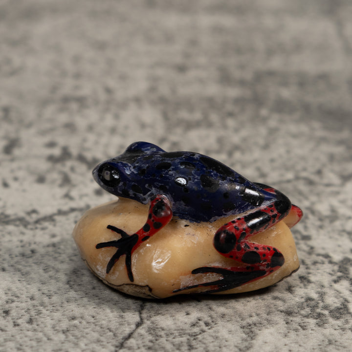 Red And Blue Poison Dart Frog Tagua Carving