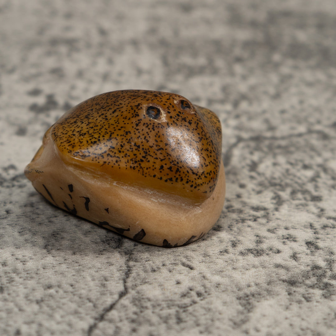 Speckled Ocean Stingray Tagua Carving