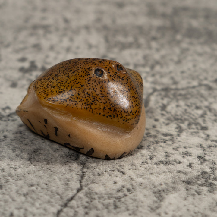 Speckled Ocean Stingray Tagua Carving