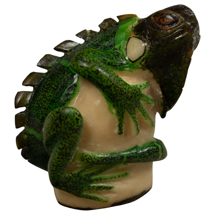 Iguana Lizard Reptile Tagua Carving