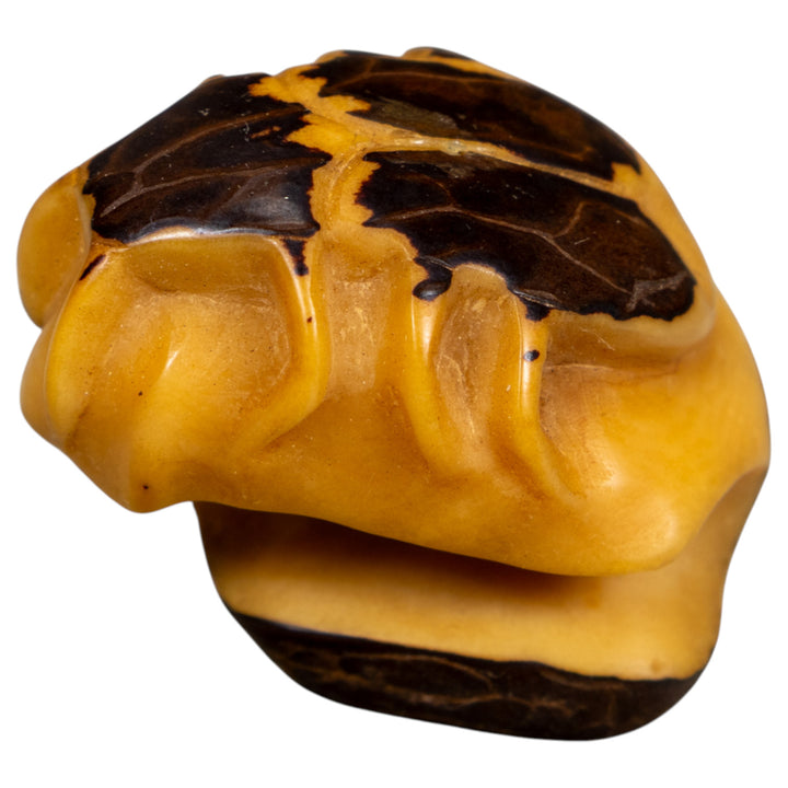 Natural White Insect Bug Tagua Carving