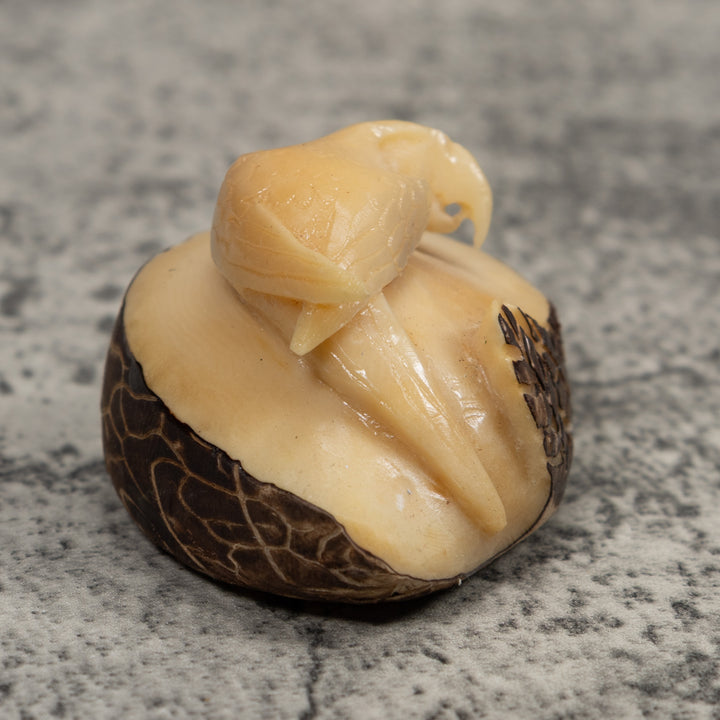 Vintage White Parrot Bird Tagua Carving