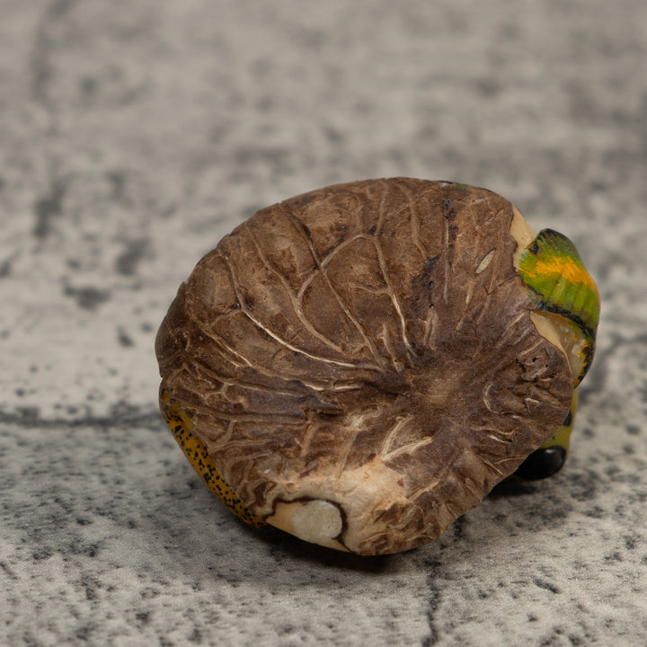 Gold Green And Black Poison Dart Frog Tagua Carving