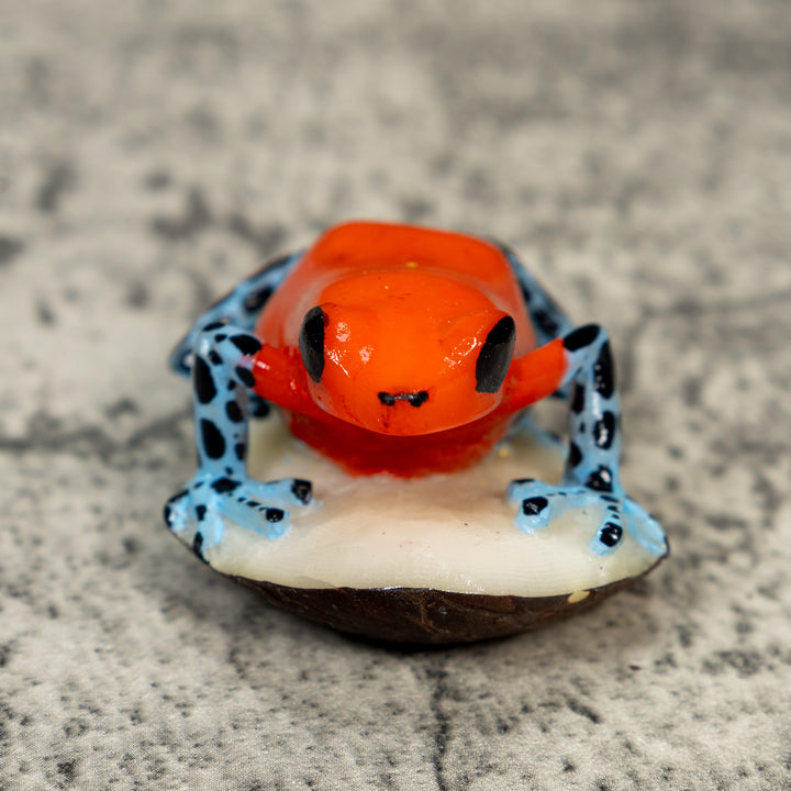 Red Black And Blue Poison Dart Frog Tagua Carving