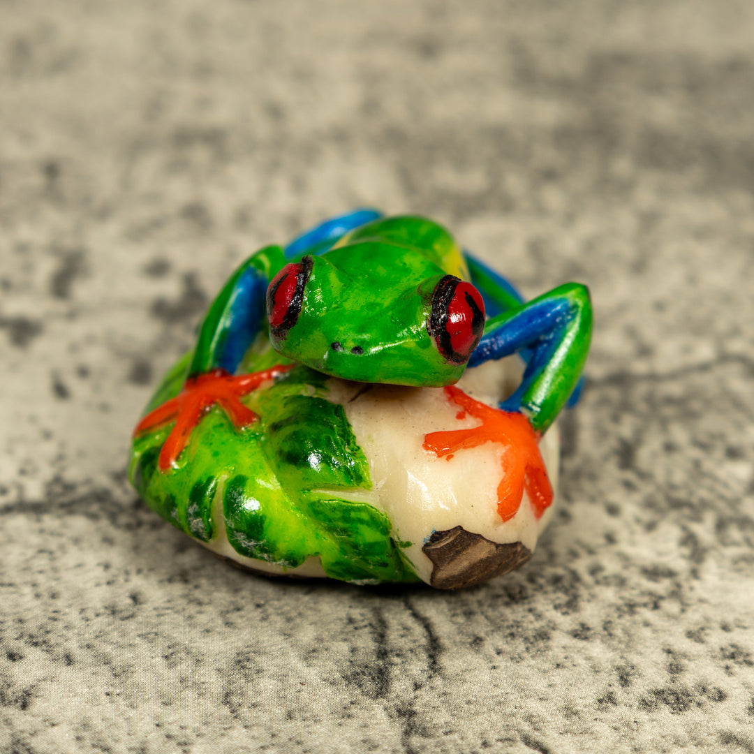 Red-Eyed Tree Frog Tagua Carving