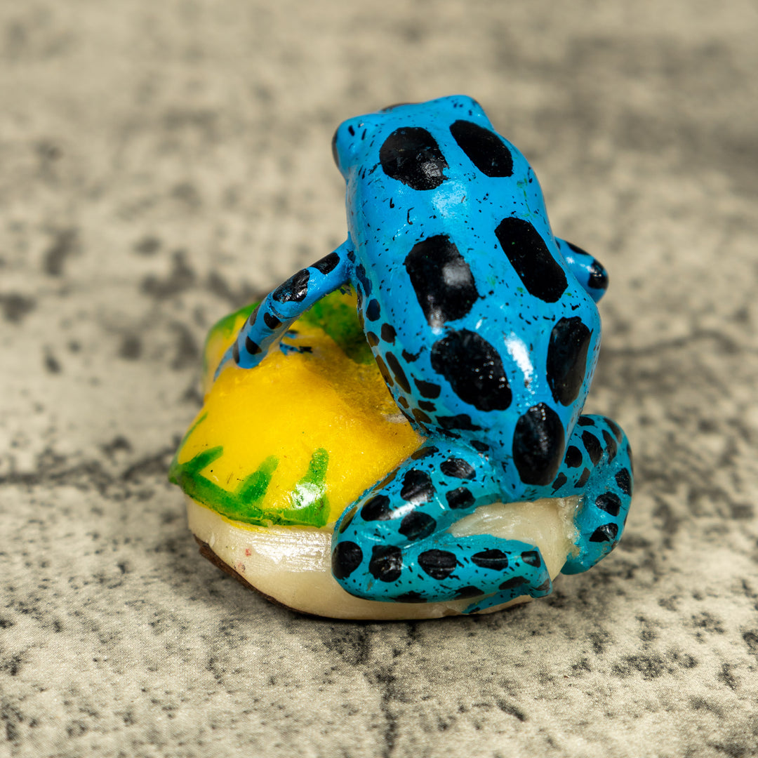Blue And Black Poison Dart Frog Tagua Carving