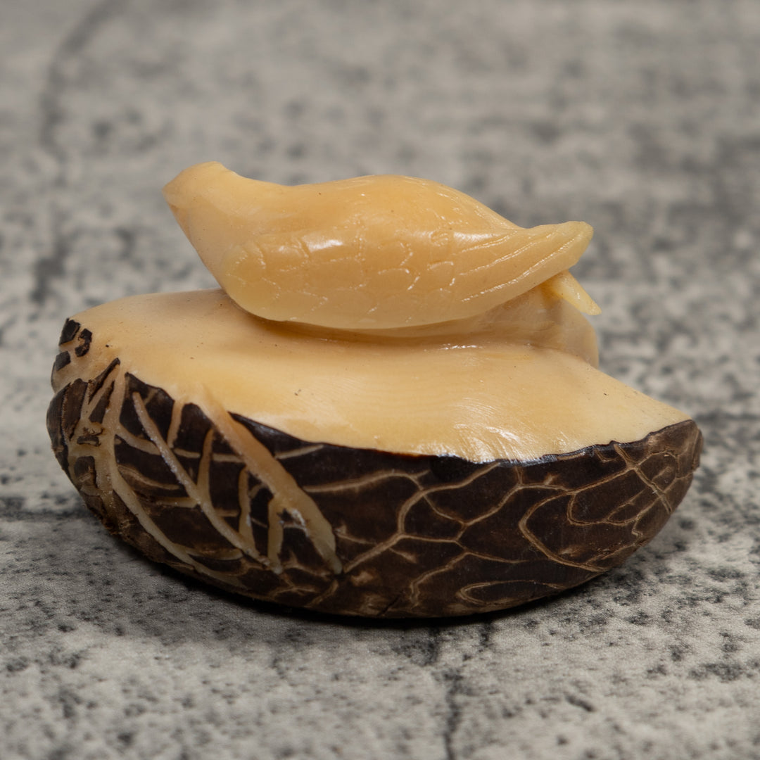 Vintage White Parrot Bird Tagua Carving