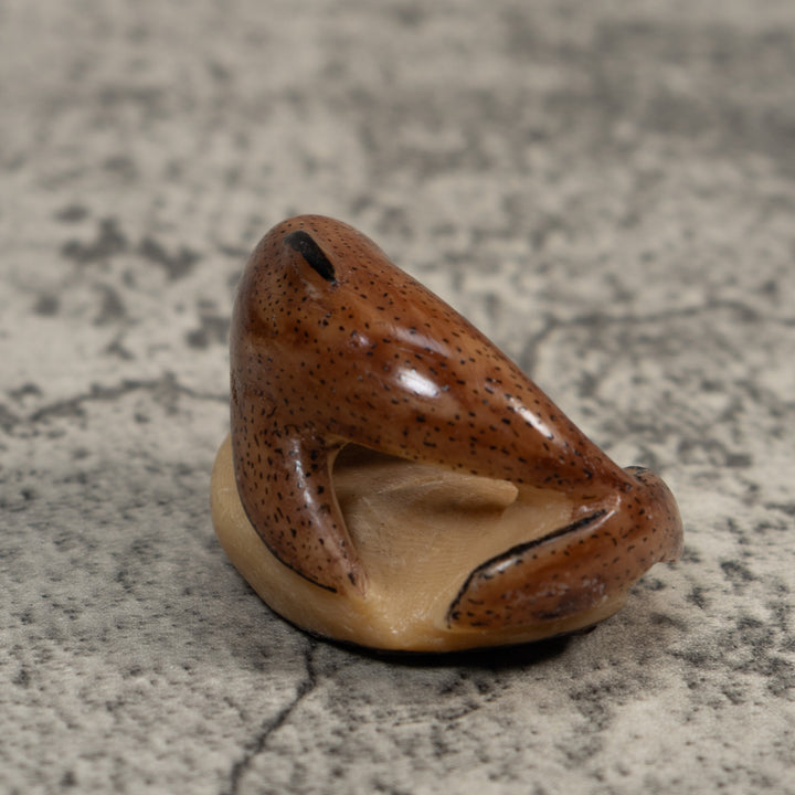 Vintage Brown Dolphin Tagua Carving
