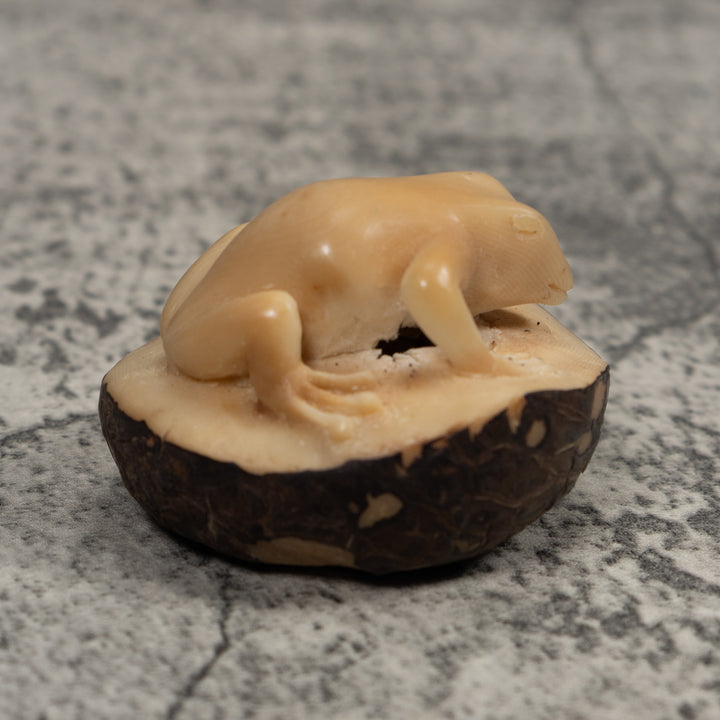 Vintage Natural White FrogTagua Carving