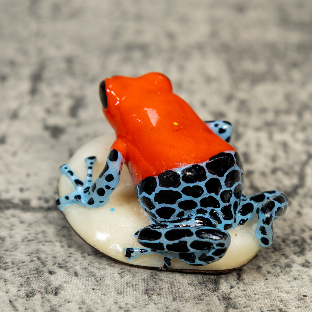 Red Black And Blue Poison Dart Frog Tagua Carving